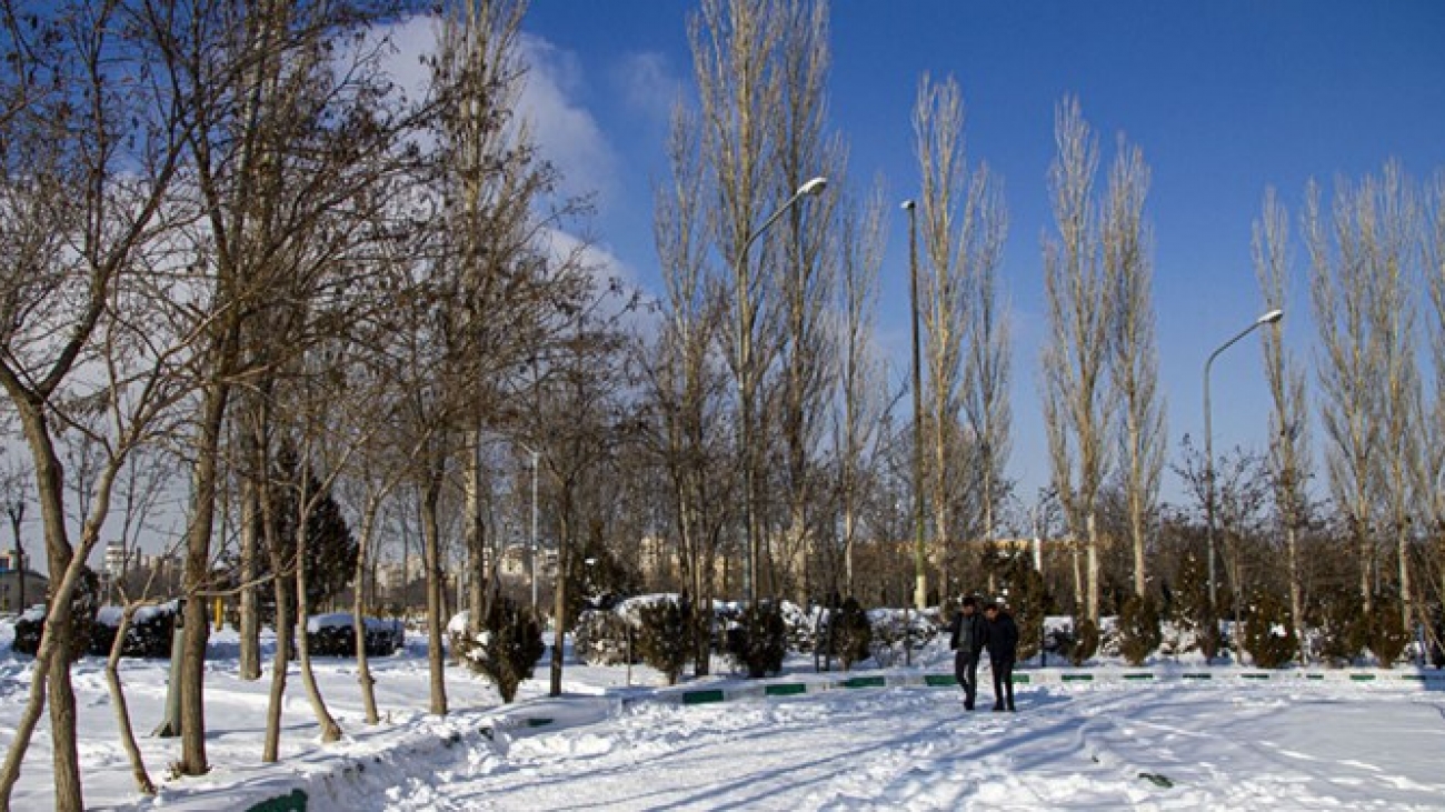 بارش برف و باران در استان اردبیل تا فردا ادامه دارد