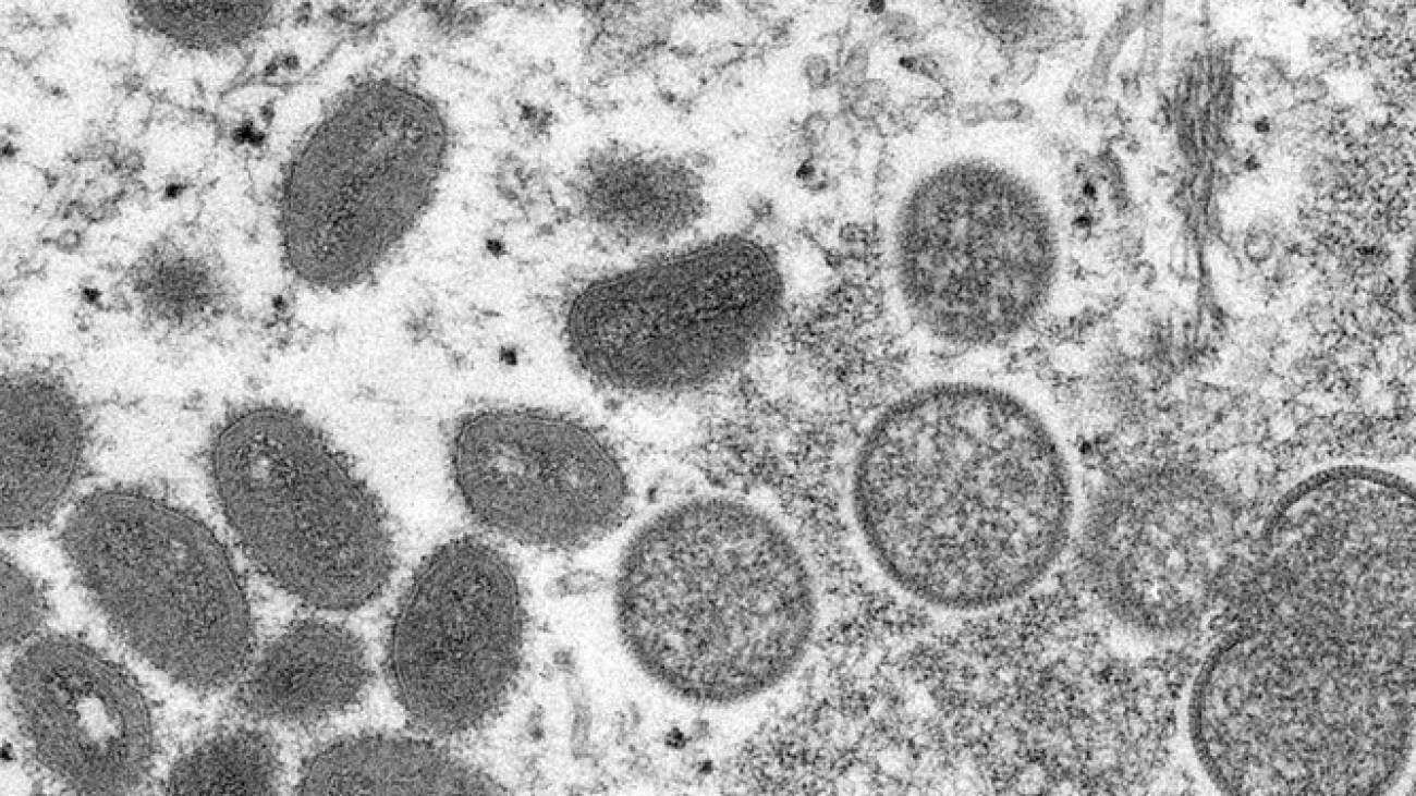 ویروس‌ها به سیستم ایمنی انسان درس می‌دهند